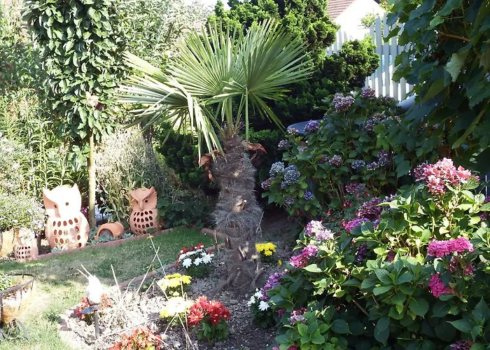 Апартаменты Georg *